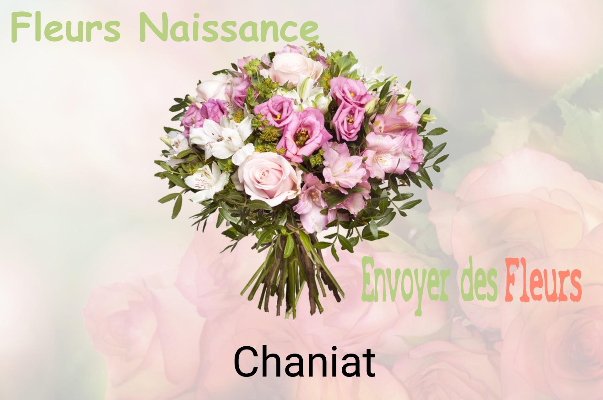 Bouquet de fleurs de naissance livré à Chaniat